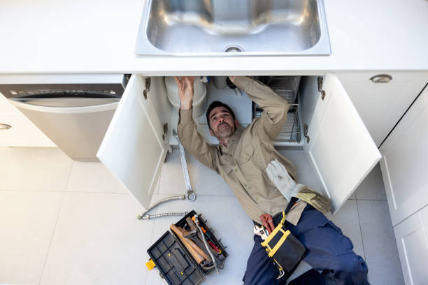 Best Toilet Repair Services  in Green Valley, AZ